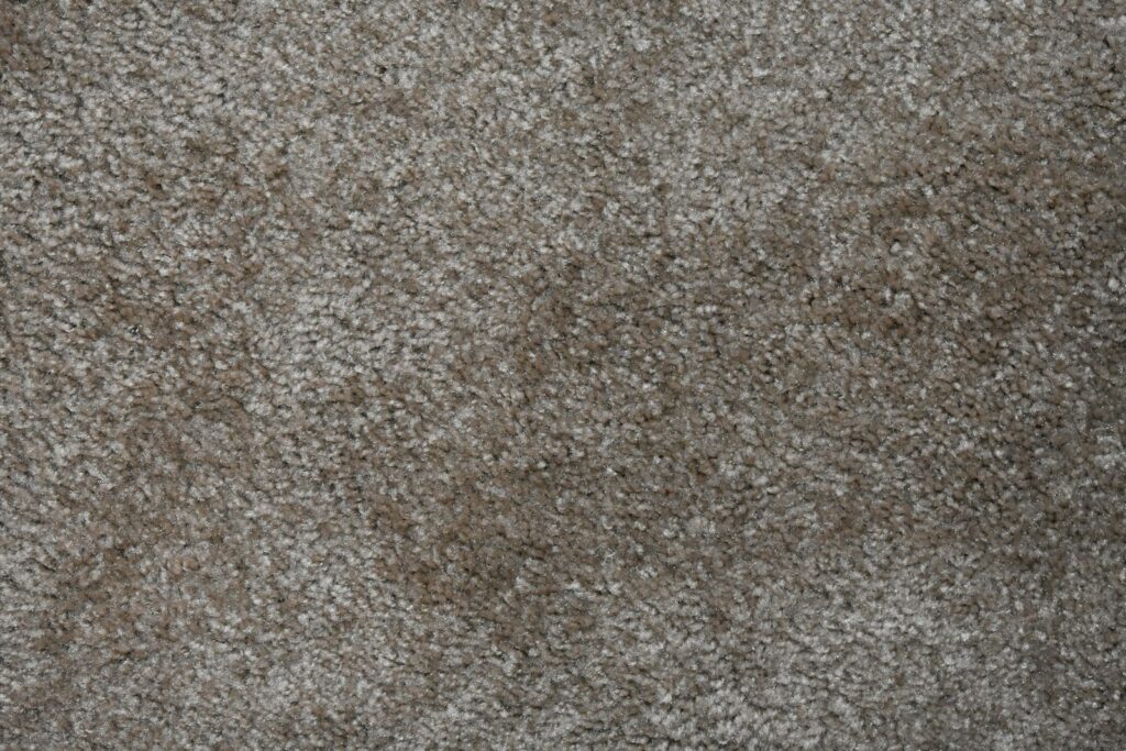 Home Soft carpet in a living space
